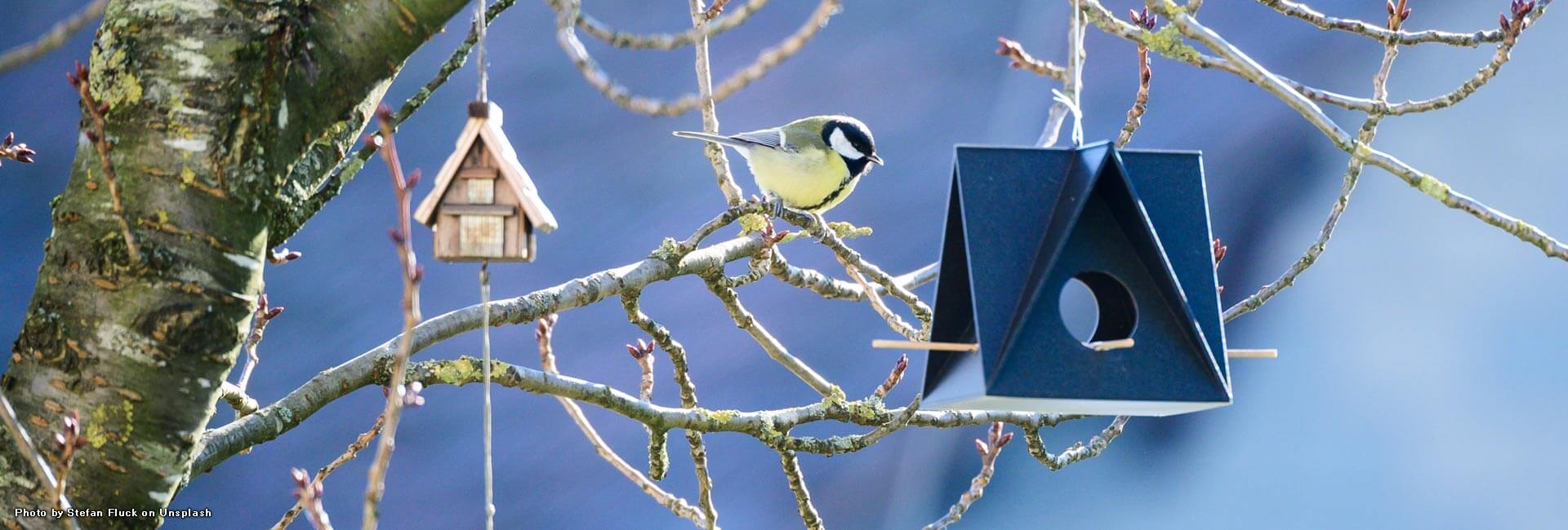 screve-jean-marie